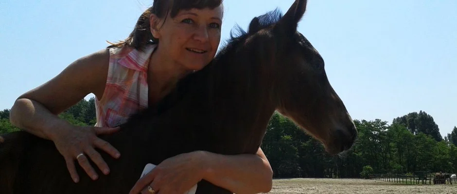 Geréby Kúria Hotel és Lovasudvar Lajosmizse