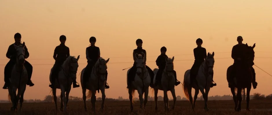 Geréby Kúria Hotel és Lovasudvar Lajosmizse
