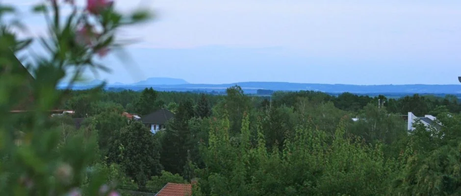 Mese Panzi Zalakaros