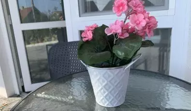 Mese Panzi Zalakaros