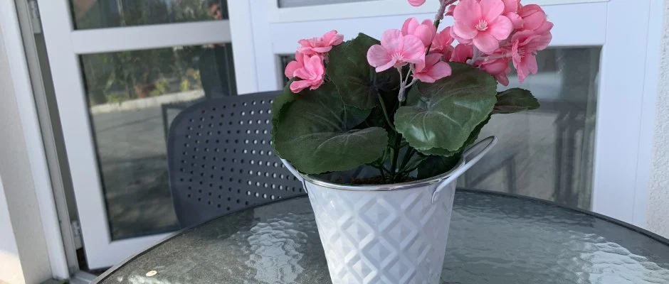 Mese Panzi Zalakaros