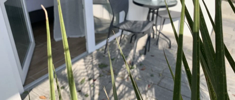 Mese Panzi Zalakaros