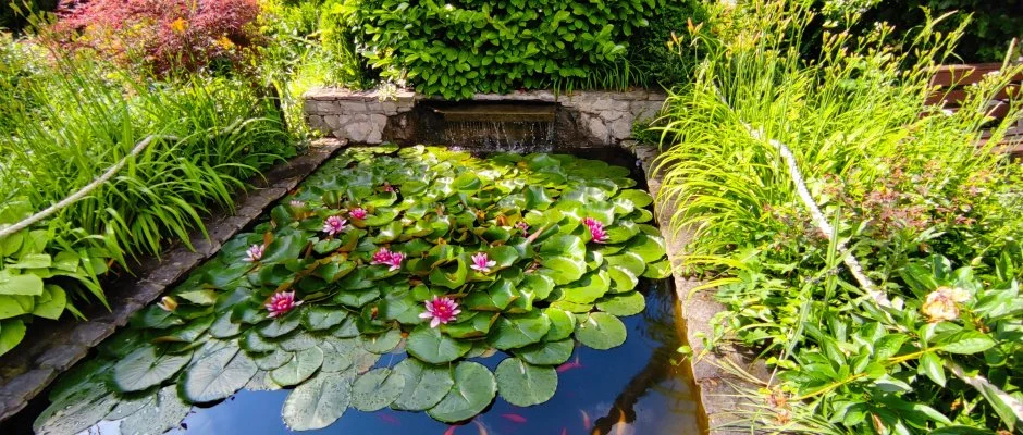 Golden Ball Club Hotel Gyr