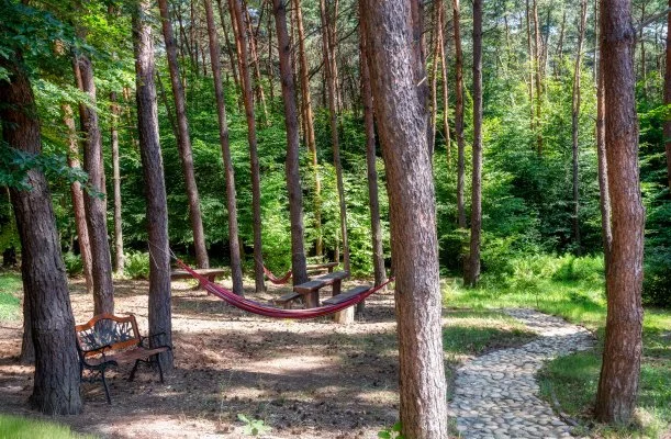Gosztola Gyöngye Hotel Gosztola Gosztola Gyöngye Hotel Gosztola