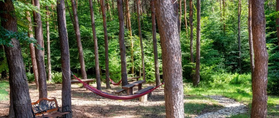 Gosztola Gyngye-az erd szllodja Gosztola