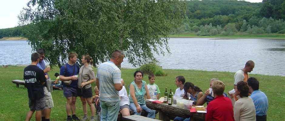 Gosztola Gyngye-az erd szllodja Gosztola