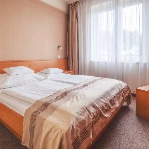 Granada Konferencia Wellness és Sport Hotel Kecskemét - Karácsony