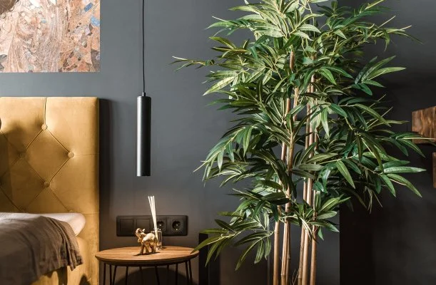 Greyhouse Apartments Hark�ny