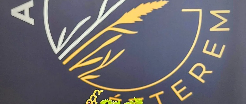 Gyirmt Sport & Wellness Hotel Gyr