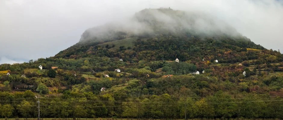 Gyulavezr Lovasbirodalma Panzi Gyulakeszi