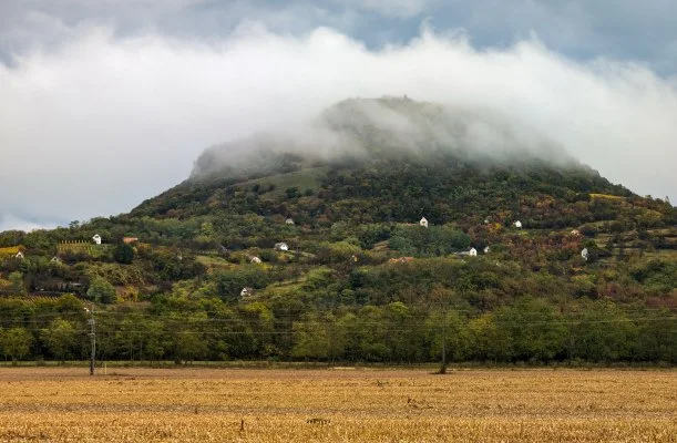 Gyulavezr Lovasbirodalma Panzi Gyulakeszi