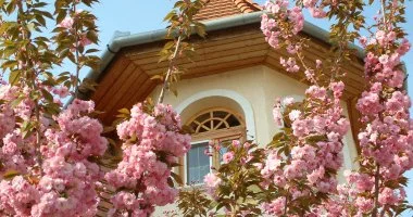 H�sv�t (min. 2 �j)