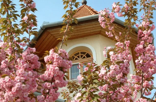 Hajdú Kastély Hotel Hajdúszoboszló Hajdú Kastély Hotel Hajdúszoboszló