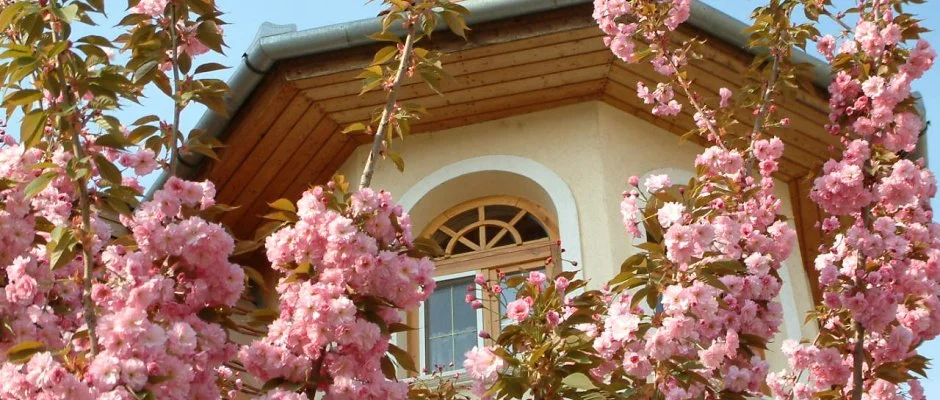 Hajd� Kast�ly Hotel Hajd�szoboszl�