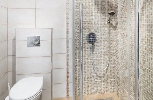 Haleszi Apartman Péteri