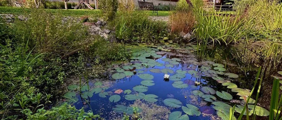 Halhza Vendghz Sirok