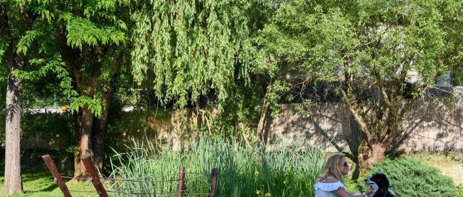 Halhza Vendghz Sirok