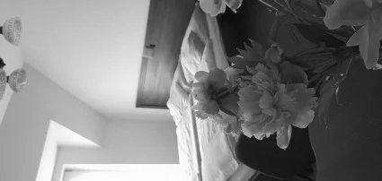 Aliz Villa Szilv�sv�rad - Akci�s aj�nlatok p�nk�sdre