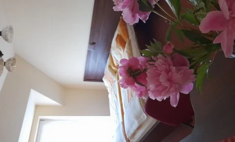 Aliz Villa Szilvásvárad - Pünkösd