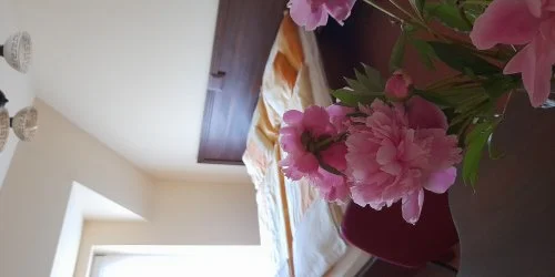 Aliz Villa Szilv�sv�rad