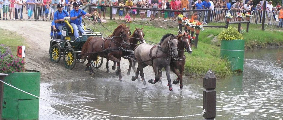 Aliz Villa Szilvsvrad