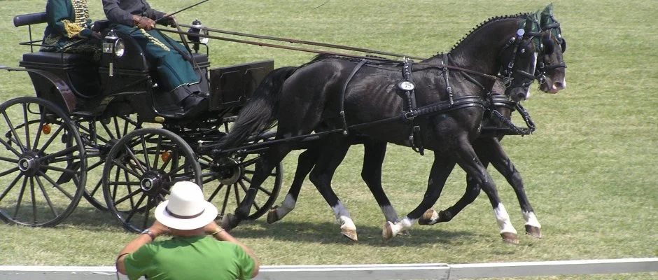 Aliz Villa Szilvsvrad