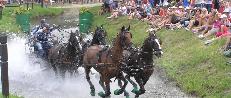 Aliz Villa Szilvsvrad