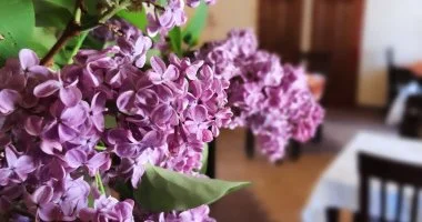 �res� a korai foglal�knak (min. 3 �j)