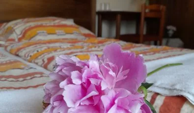 Aliz Villa Szilvsvrad