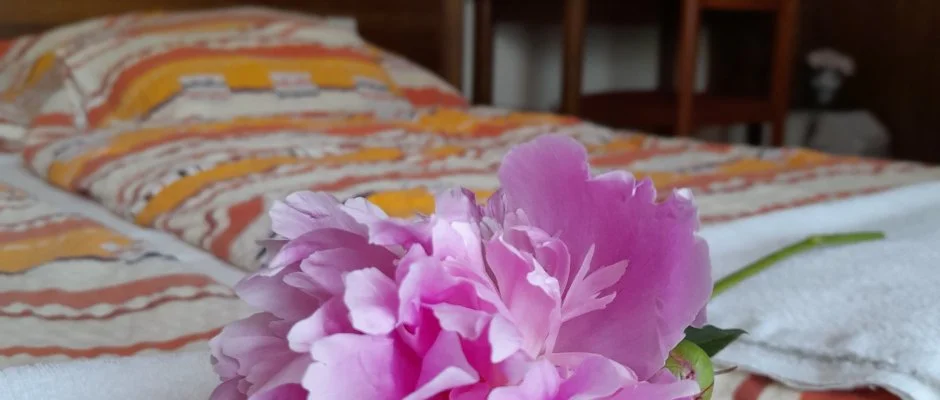 Aliz Villa Szilvsvrad