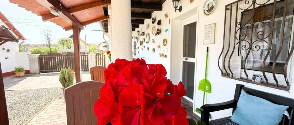 Harmony Vendghz Egerszalk