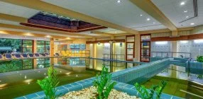 Ensana Thermal Srvr - Wellness lmnyek elfoglalssal