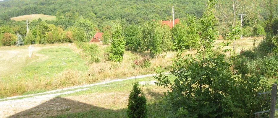 Hegyi Panzi Szilvsvrad