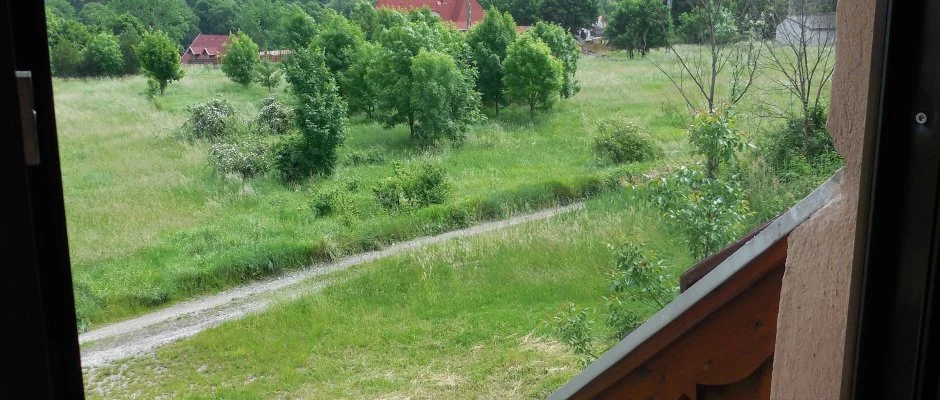 Hegyi Panzi Szilvsvrad