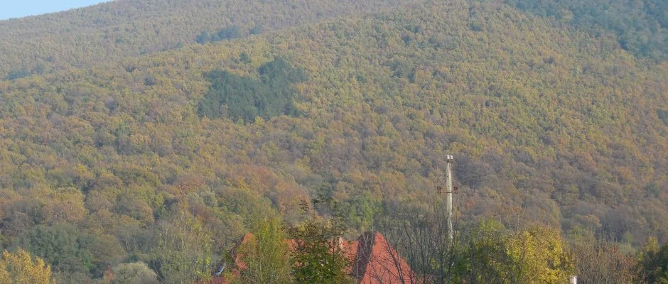 Hegyi Panzi Szilvsvrad