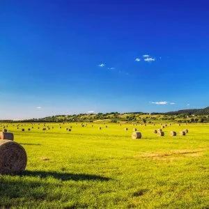  Mór - Sunday Chill - 1 éjszakás vasárnapi kiruccanás