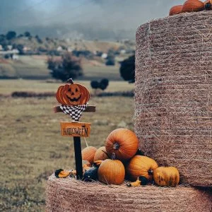  Mór - Őszi Harmónia (min. 2 éj)