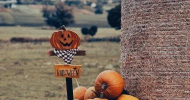 �szi Harm�nia (min. 2 �j)