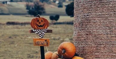 �szi Harm�nia (min. 2 �j)