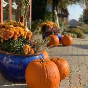  Mór - November 1. ünnepi hétvége és Halloween (min. 2 éj)