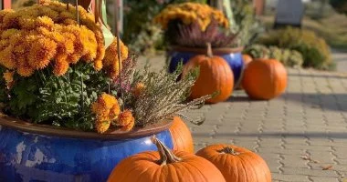 November 1. �nnepi h�tv�ge �s Halloween (min. 2 �j)