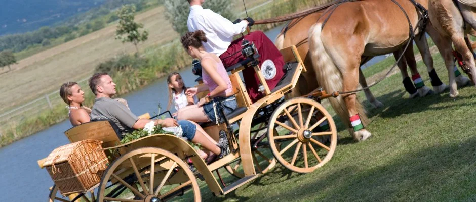 Htkti Wellness Hotel & Lovaspark Mr