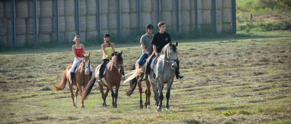 Htkti Wellness Hotel & Lovaspark Mr