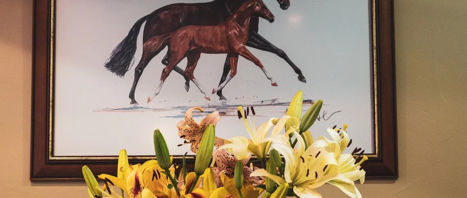 Htkti Wellness Hotel & Lovaspark Mr