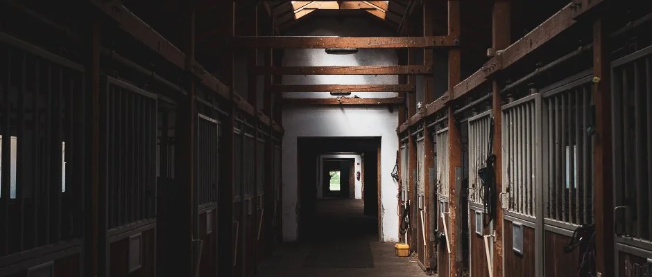 Htkti Wellness Hotel & Lovaspark Mr