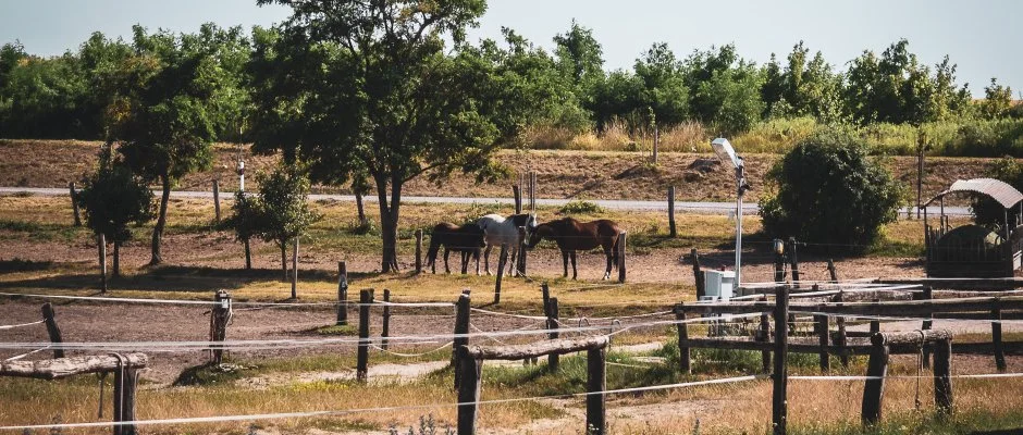 Htkti Wellness Hotel & Lovaspark Mr