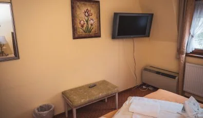 Hétkúti Wellness Hotel & Lovaspark Mór