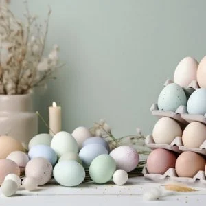 Holdvirág Hotel Sárvár - Húsvét - teljes előrefizetéssel