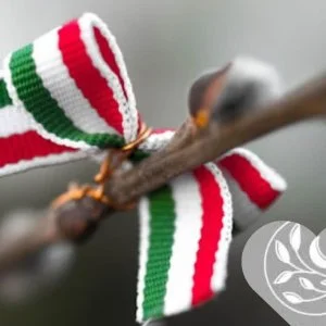  Sárvár - Március 15. - teljes előrefizetéssel