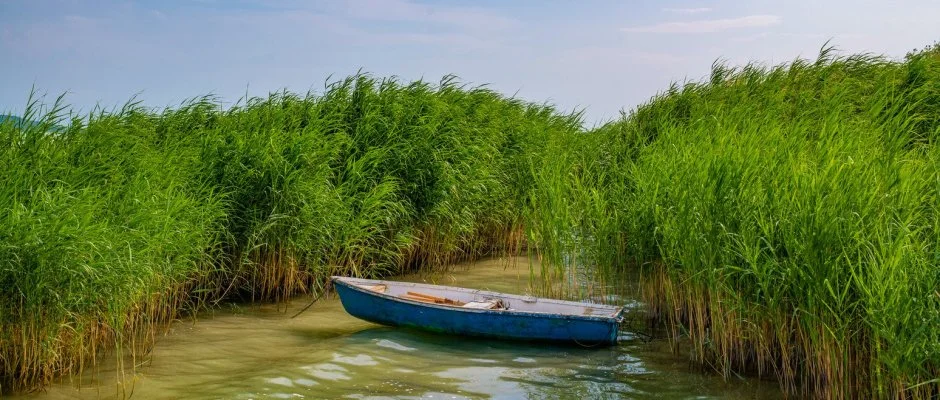 Holiday Resorts Balatonszárszó